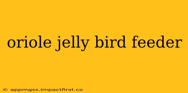 oriole jelly bird feeder