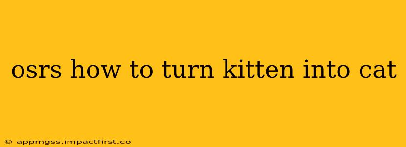 osrs how to turn kitten into cat