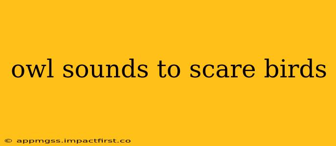 owl sounds to scare birds