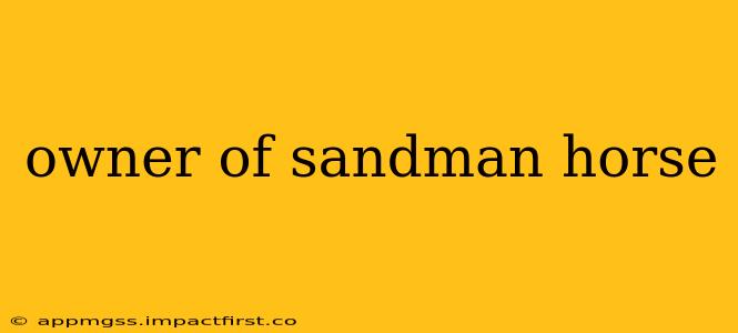 owner of sandman horse