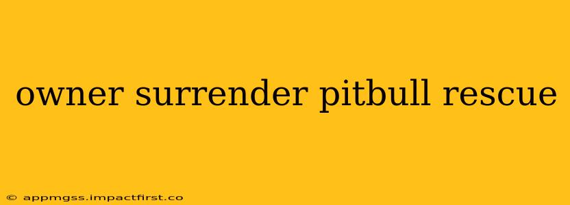 owner surrender pitbull rescue