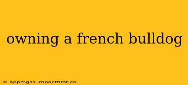 owning a french bulldog