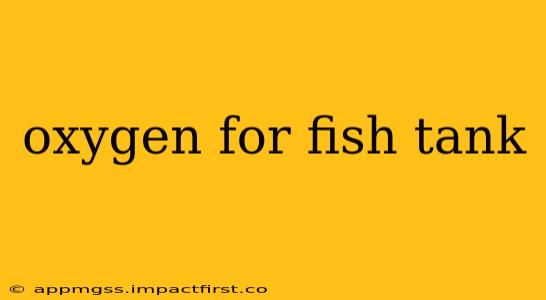 oxygen for fish tank