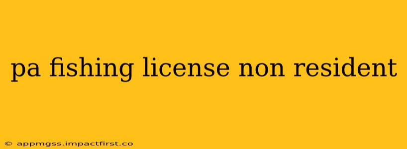 pa fishing license non resident