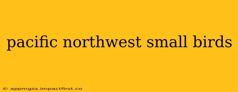 pacific northwest small birds