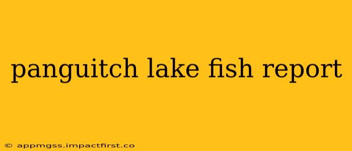 panguitch lake fish report