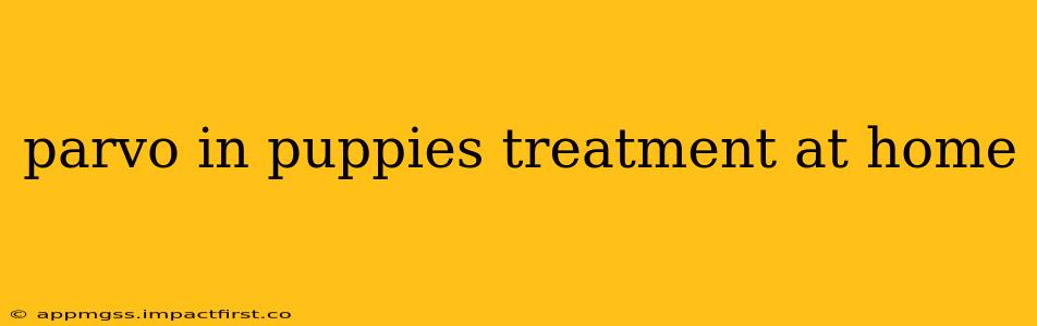 parvo in puppies treatment at home
