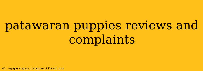 patawaran puppies reviews and complaints