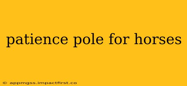 patience pole for horses