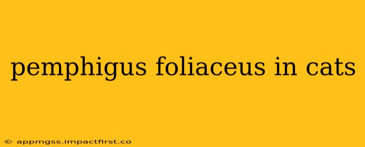 pemphigus foliaceus in cats