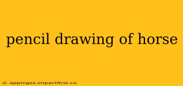 pencil drawing of horse