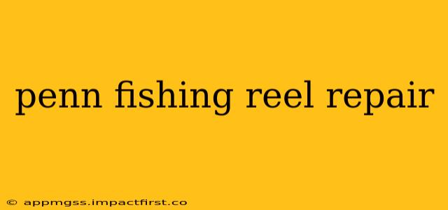 penn fishing reel repair