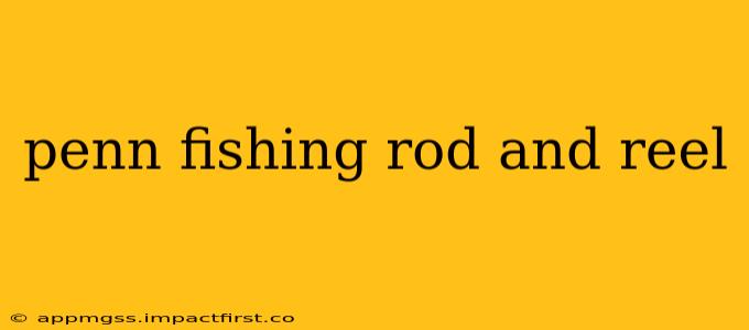 penn fishing rod and reel