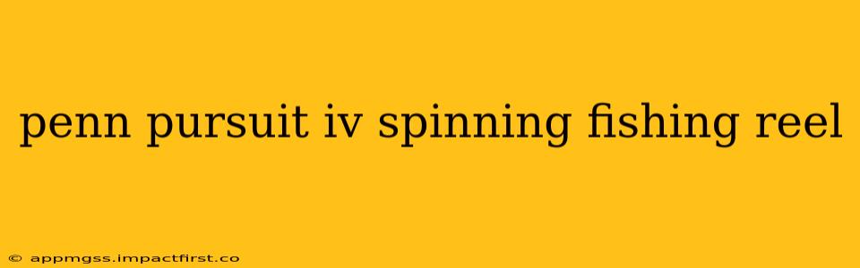 penn pursuit iv spinning fishing reel