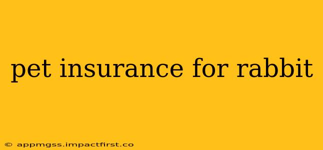pet insurance for rabbit