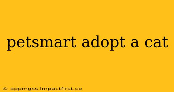 petsmart adopt a cat