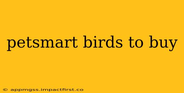 petsmart birds to buy