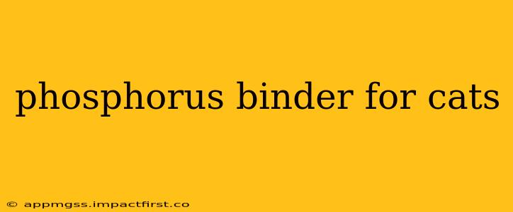 phosphorus binder for cats
