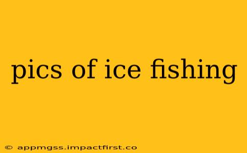 pics of ice fishing