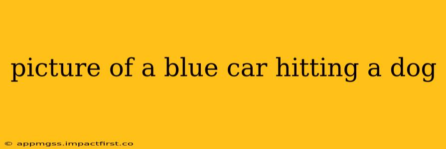 picture of a blue car hitting a dog