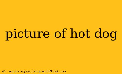 picture of hot dog