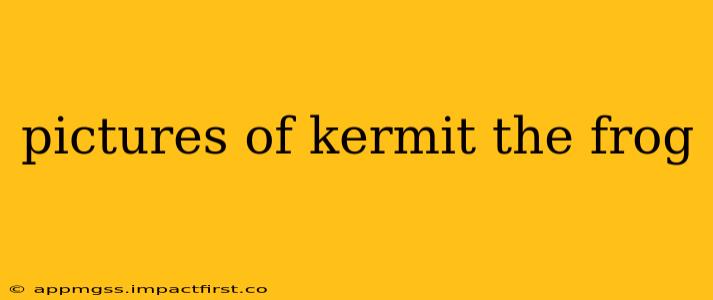 pictures of kermit the frog