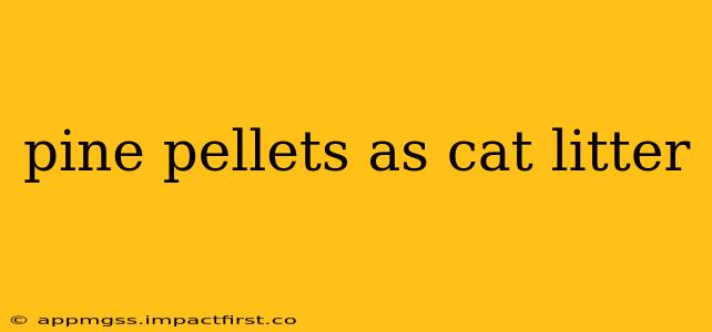 pine pellets as cat litter