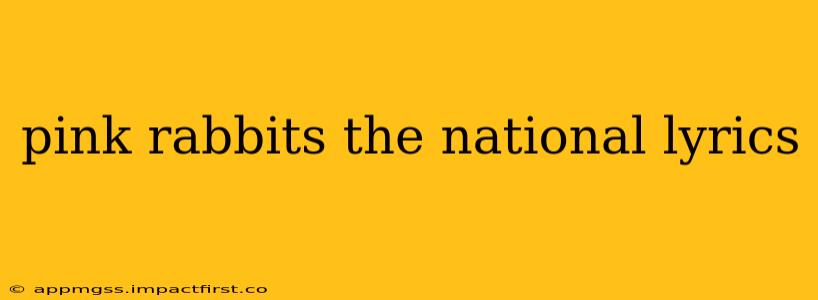 pink rabbits the national lyrics