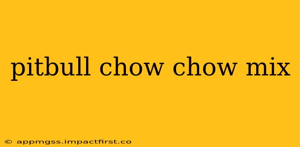 pitbull chow chow mix