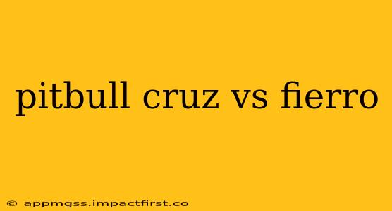 pitbull cruz vs fierro