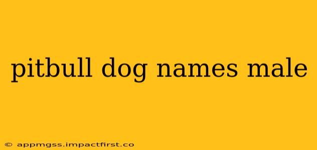 pitbull dog names male