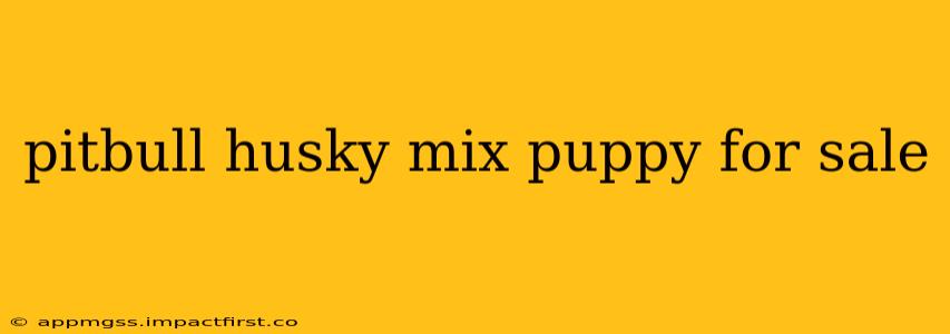 pitbull husky mix puppy for sale