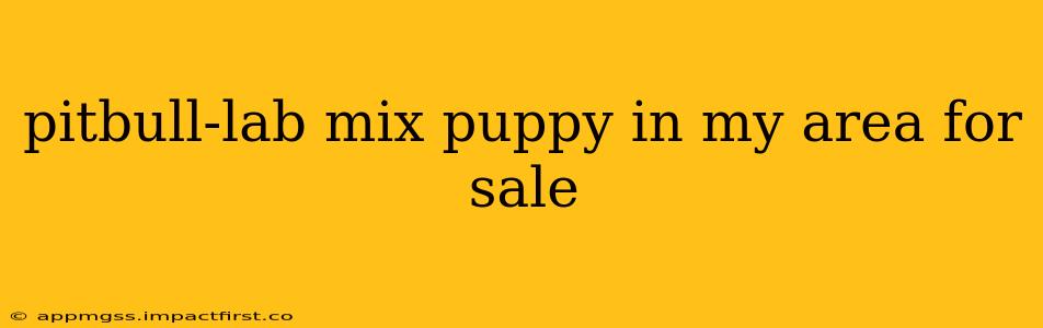 pitbull-lab mix puppy in my area for sale