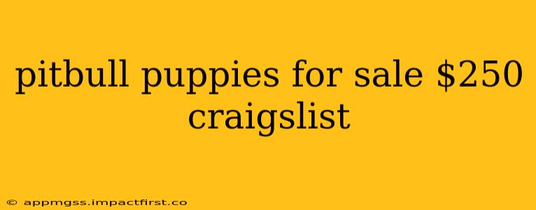 pitbull puppies for sale $250 craigslist