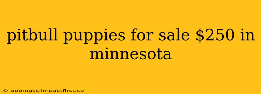 pitbull puppies for sale $250 in minnesota