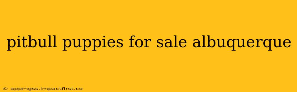 pitbull puppies for sale albuquerque