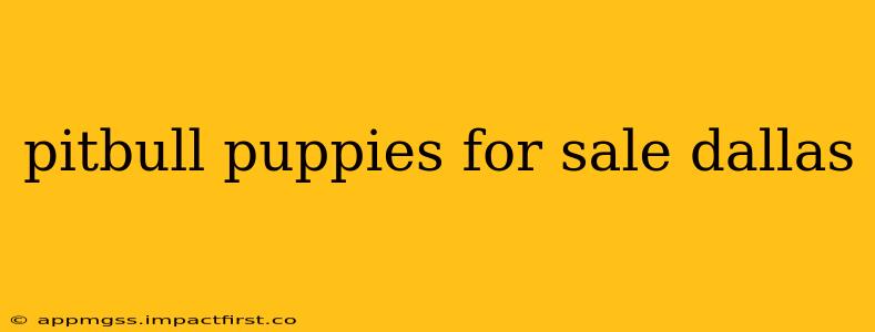 pitbull puppies for sale dallas