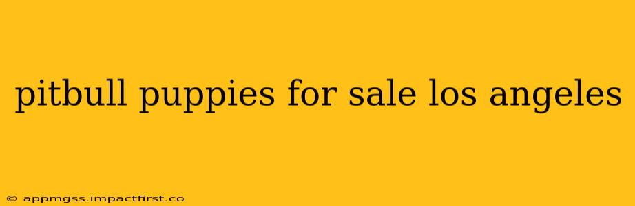 pitbull puppies for sale los angeles