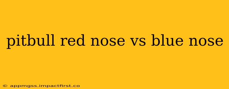 pitbull red nose vs blue nose
