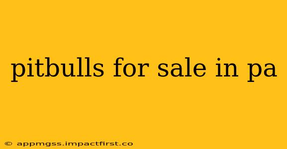 pitbulls for sale in pa