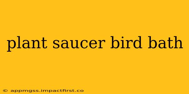 plant saucer bird bath