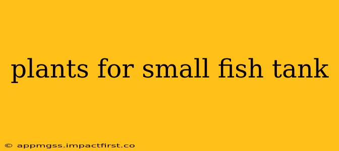 plants for small fish tank