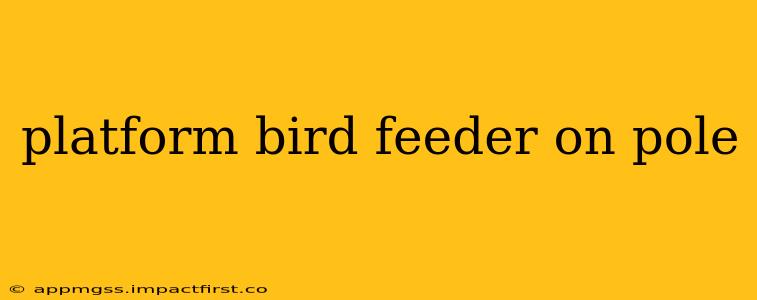 platform bird feeder on pole