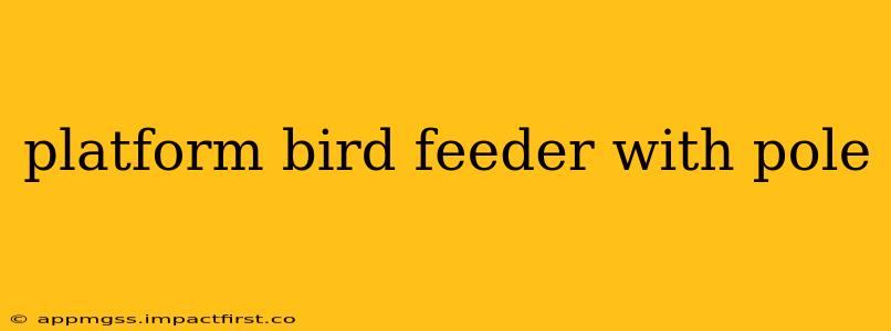 platform bird feeder with pole
