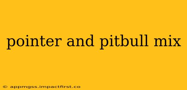 pointer and pitbull mix