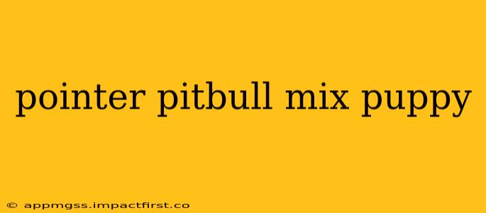 pointer pitbull mix puppy