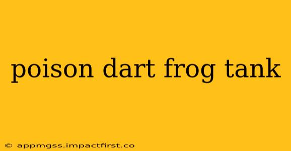 poison dart frog tank