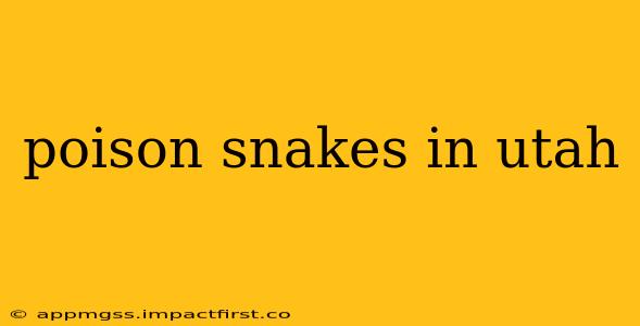 poison snakes in utah