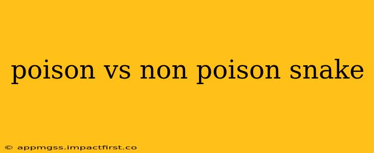 poison vs non poison snake
