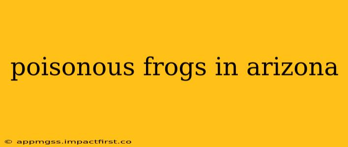 poisonous frogs in arizona